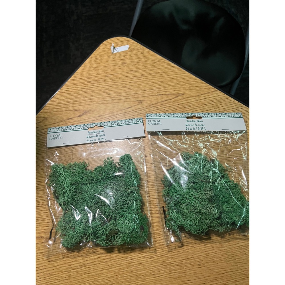 Floral Garden Reindeer Moss Green 24 cu in 2 Packs Preserved Craft Floral Decor